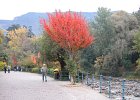 DSCN0739