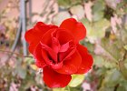 DSCN0744