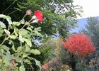 DSCN0753