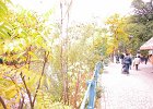 DSCN0757